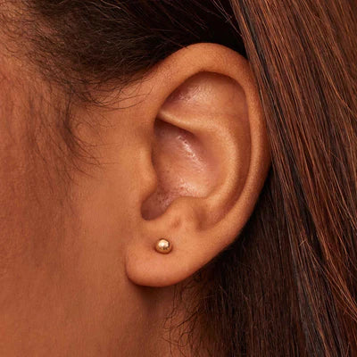 Have en bold studs | Hvidguld 16k