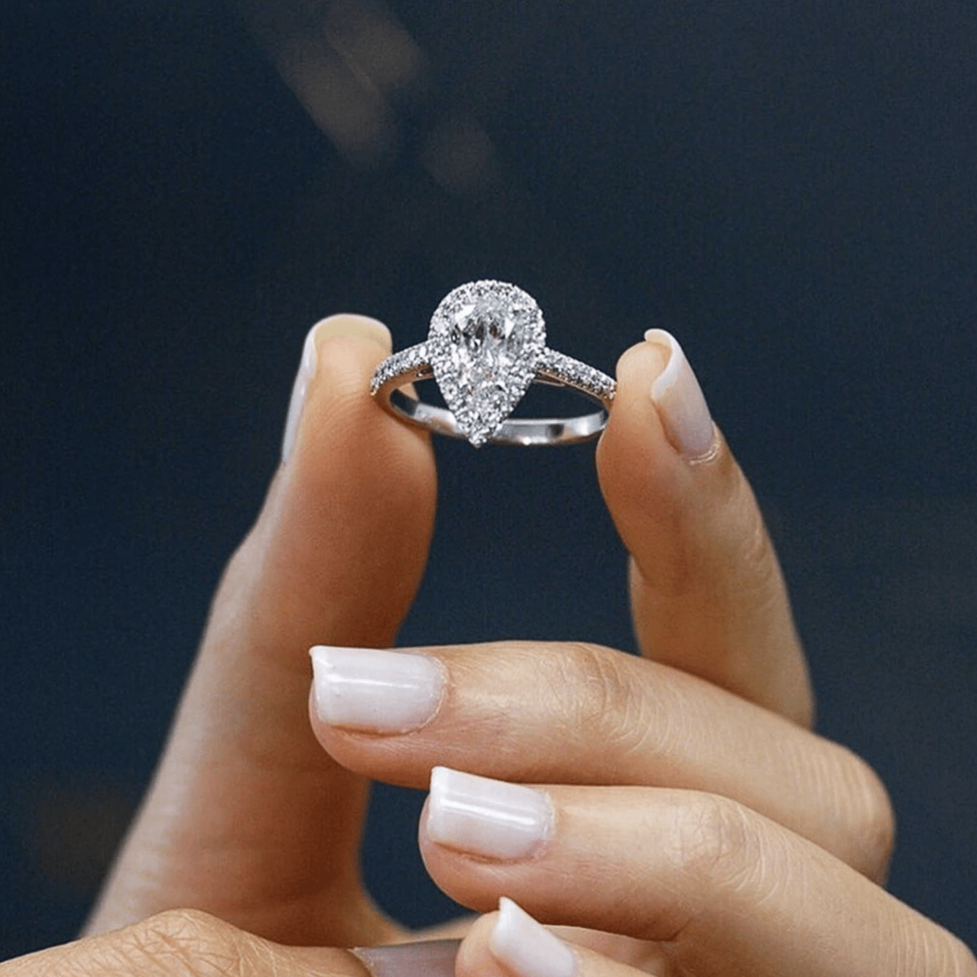 Silvana Terranova Ring | Hvidguld